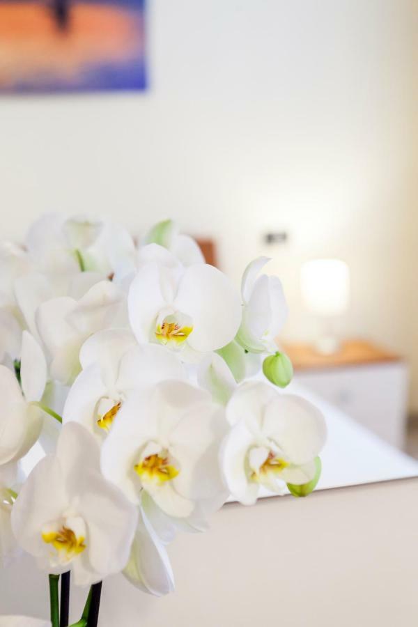 Iris Centralissimo Sanremo Eksteriør bilde